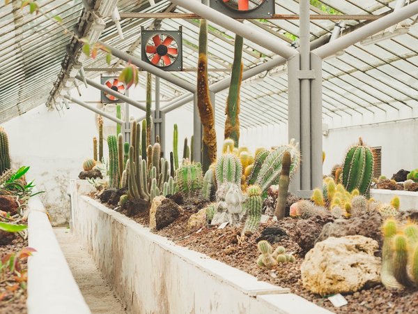 Comment bien choisir des serres de jardin ?