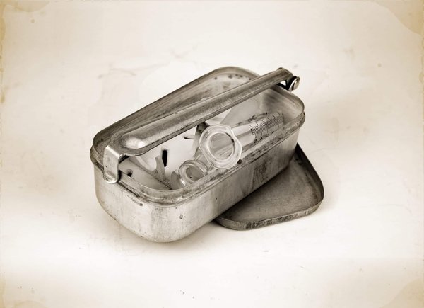 Comment se débarrasser d'un nid de frelons de manière sécurisée et efficace ?